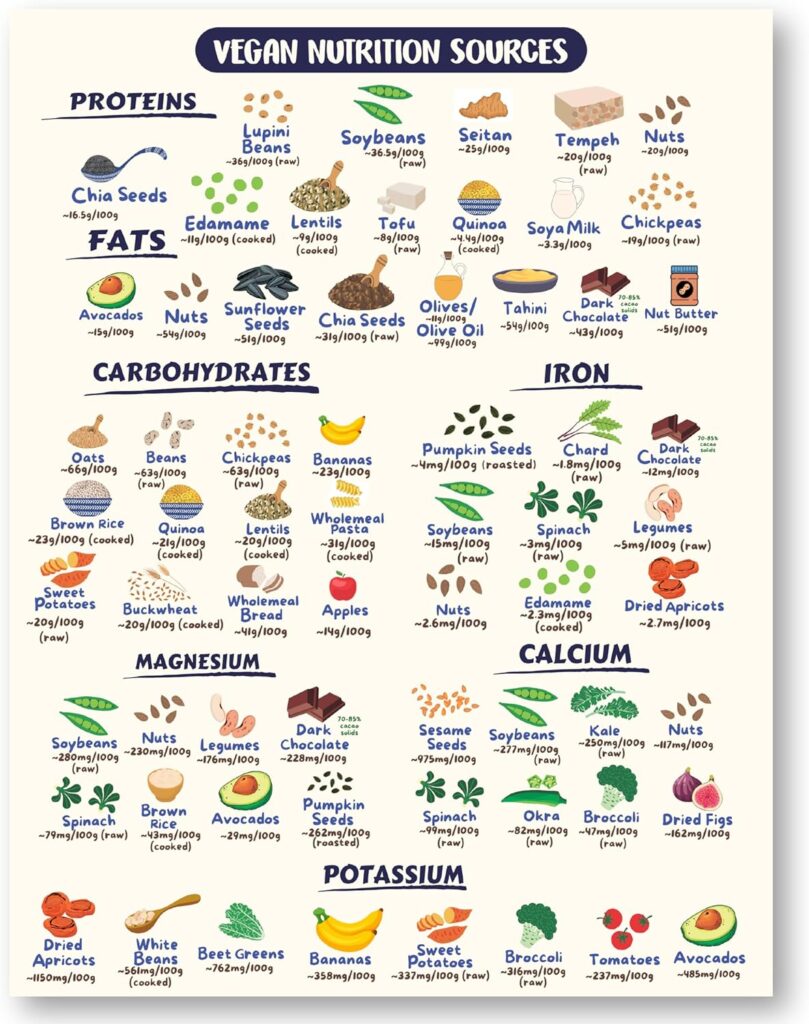 Vegan Health Foods Chart Fridge Magnet | Nutritional Guide for Keto High Protein Vegan Vegetarian Diets | Decorative Food Magnet Cheat Sheet | Durable Waterproof | 8.5 x 11 Size